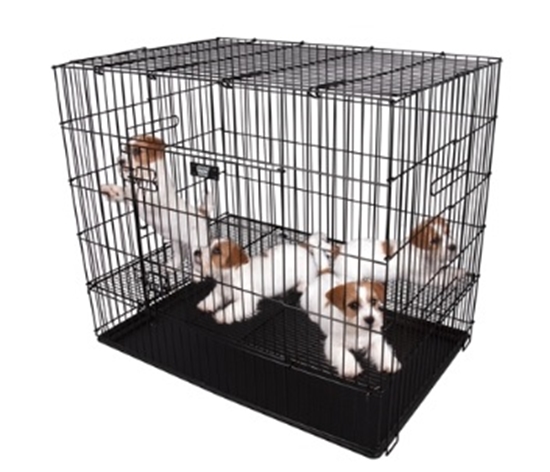 Picture of Show Tech Puppy Play Pens: Hygienic and Adjustable Play Pens